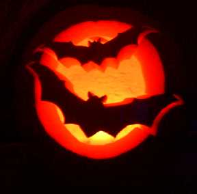 Bats And Halloween