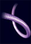 Nordost Frey interconnect