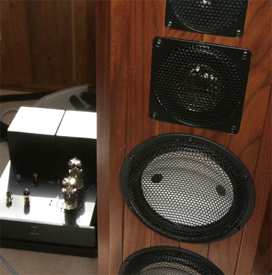 Marten Design Coltrane Supreme loudspeaker with Lamm ML2.1 amp in background
